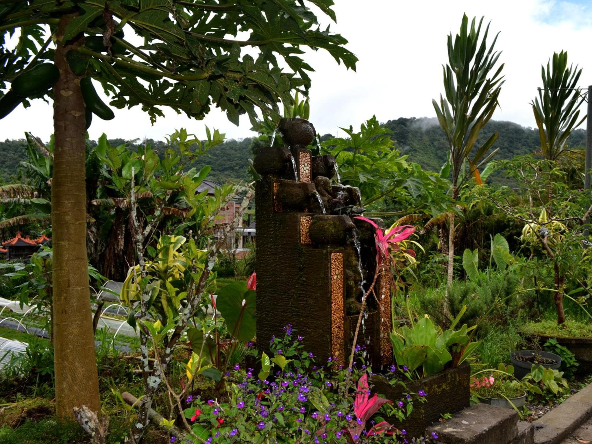 Dajan Buyan Homestay