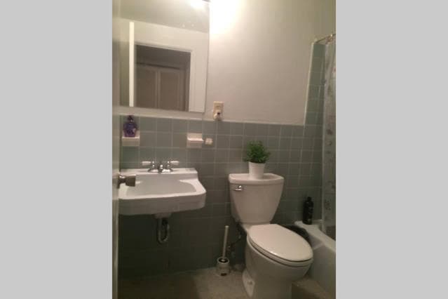 Downtown 1 Bedroom Apt 20L