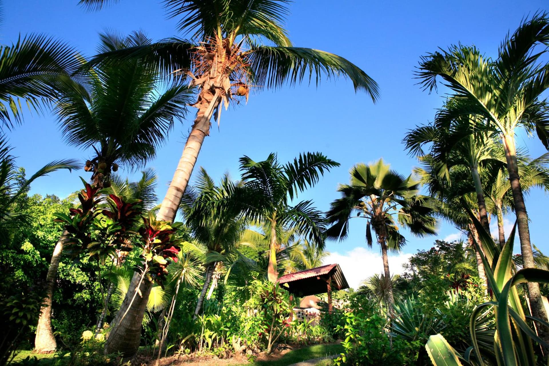Habitation Grande Anse Résidence hôtelière