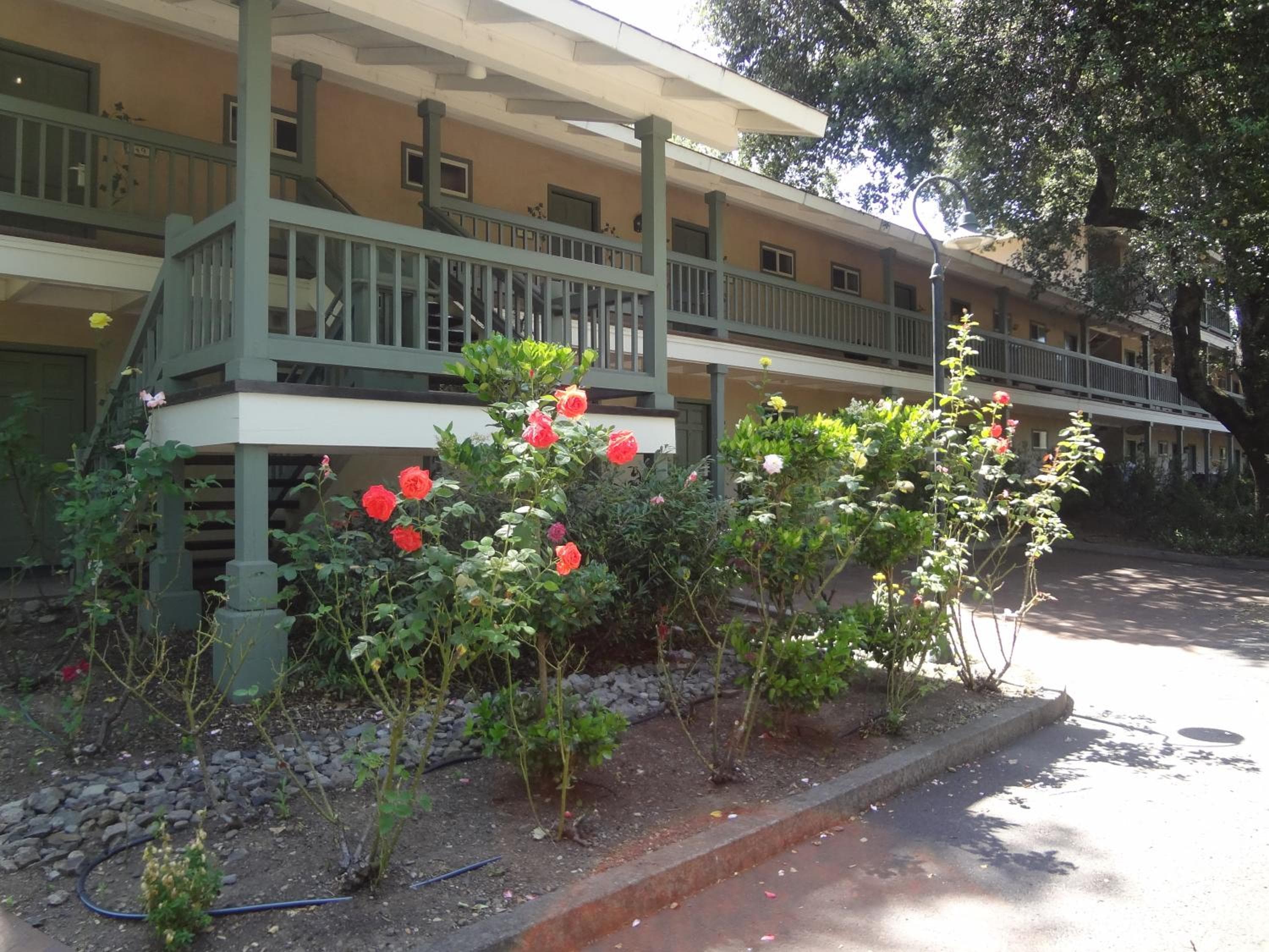 El Bonita Motel