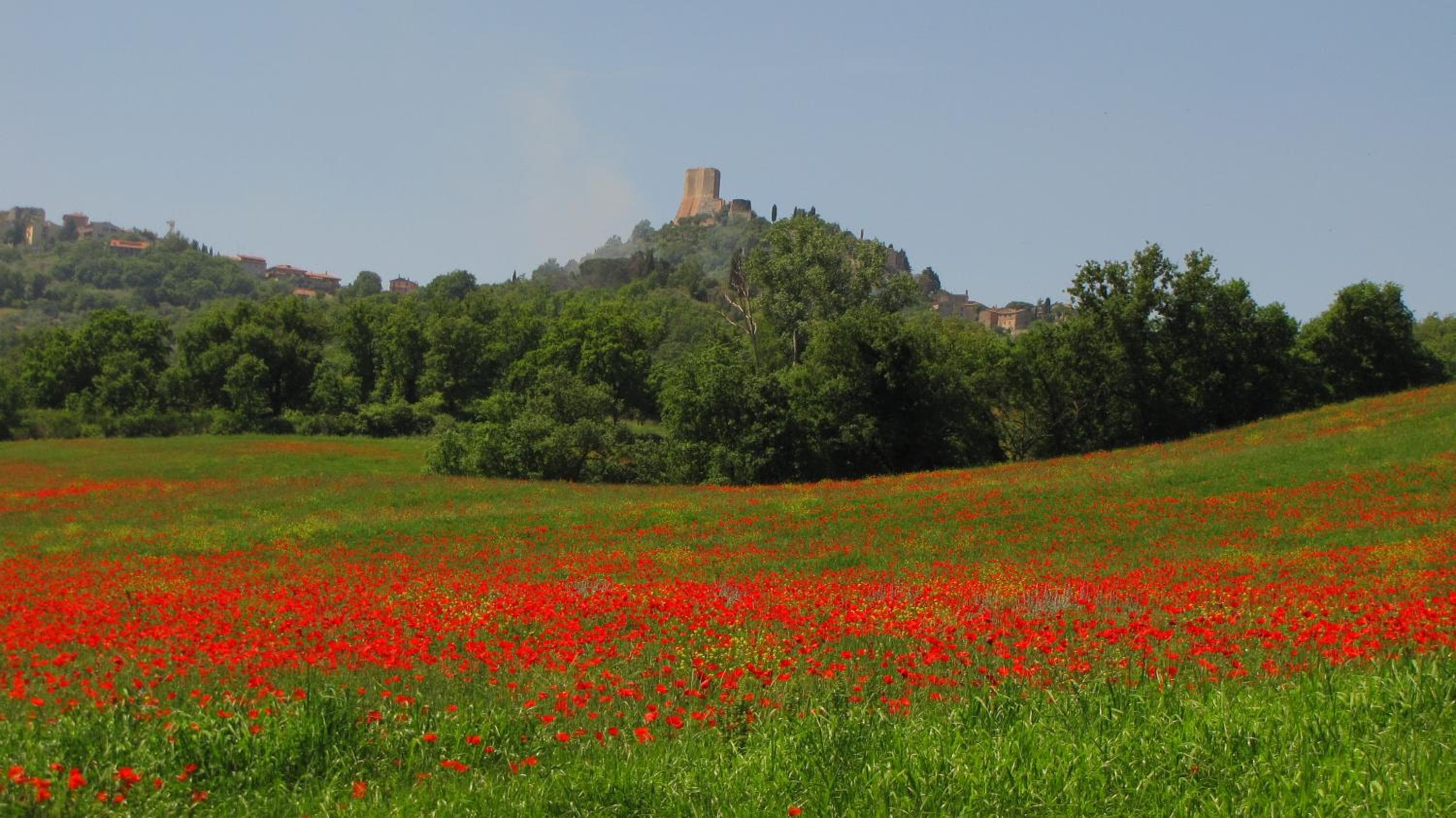 Al Piccolo Ulivo, a casa di Mimo&Sè