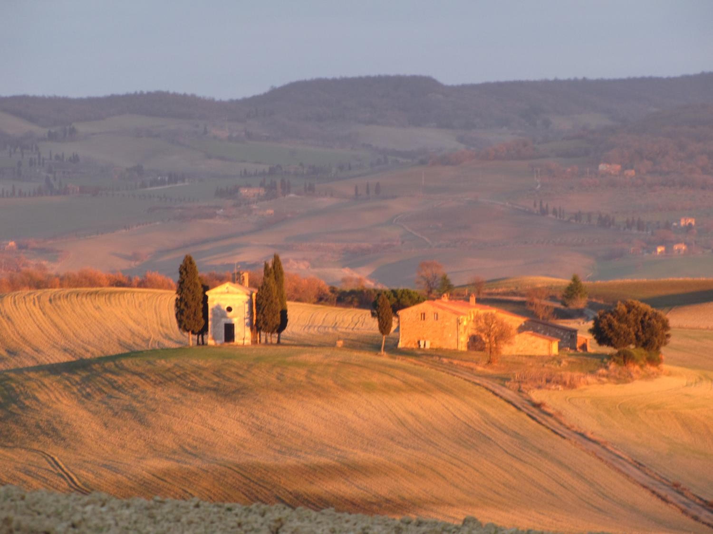 Al Piccolo Ulivo, a casa di Mimo&Sè