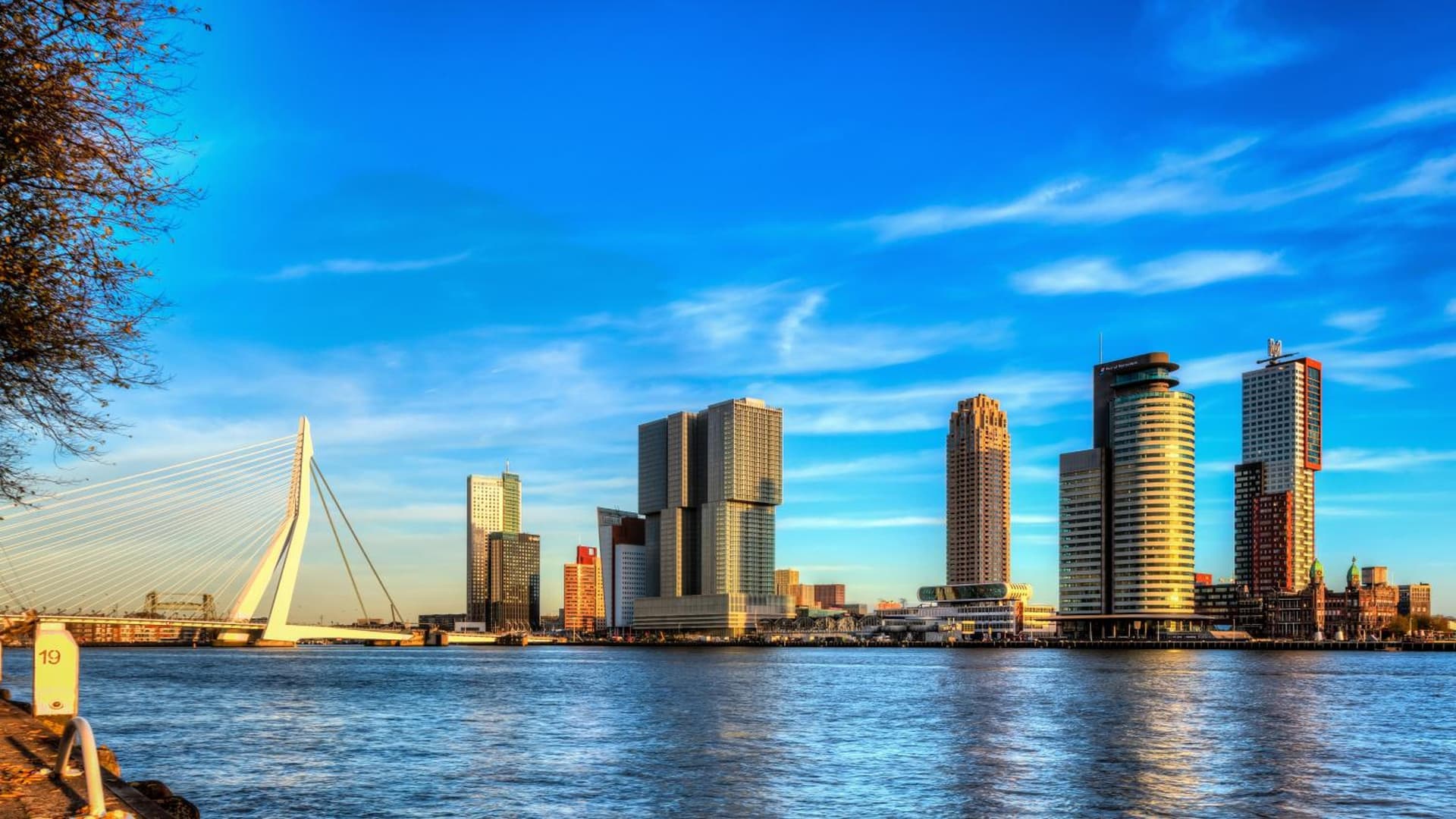 a&o Rotterdam City