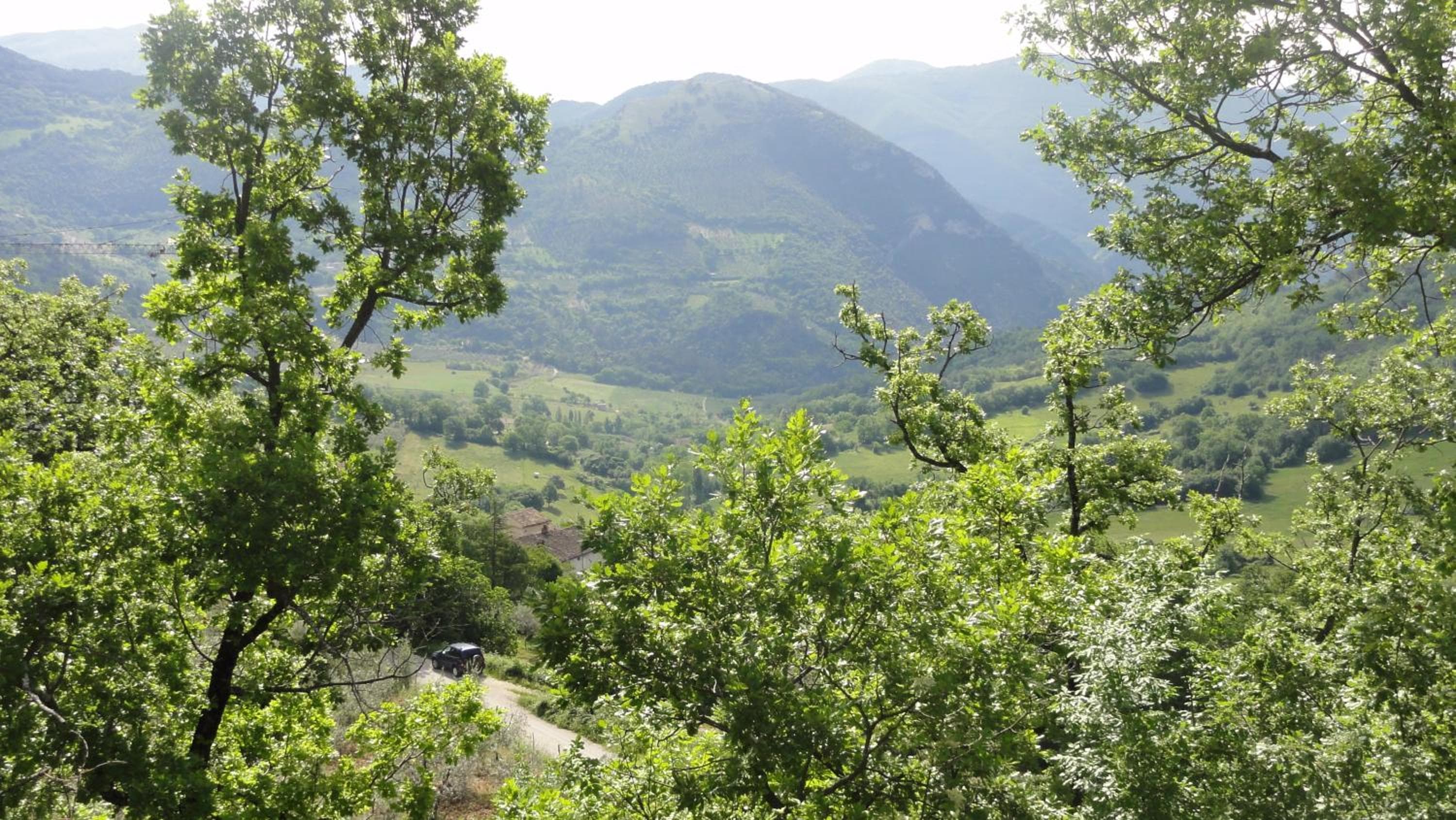 Valle del Belvedere