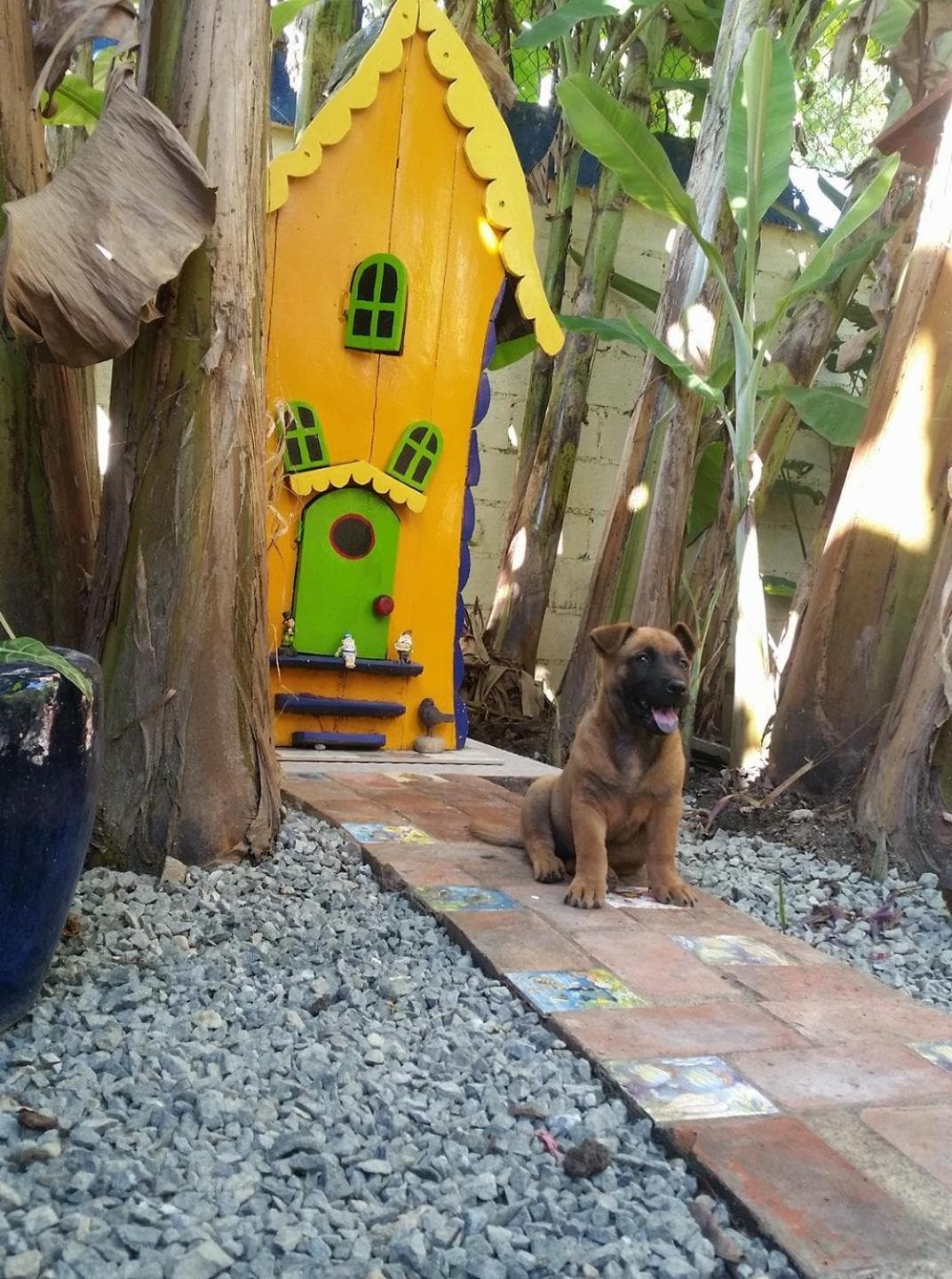 Sana El Jardin Secreto