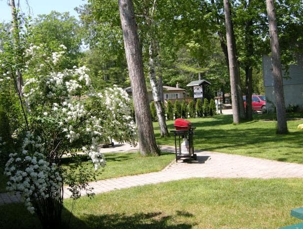 Birch Haven by the Beach