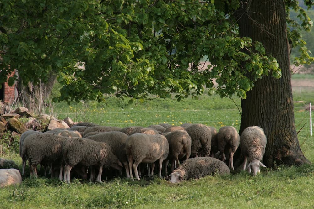 Biohotel Stiftsgut Wilhelmsglücksbrunn