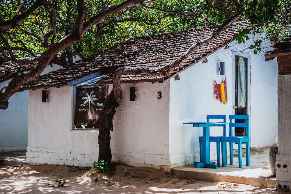 Sao Bien Cam Ranh