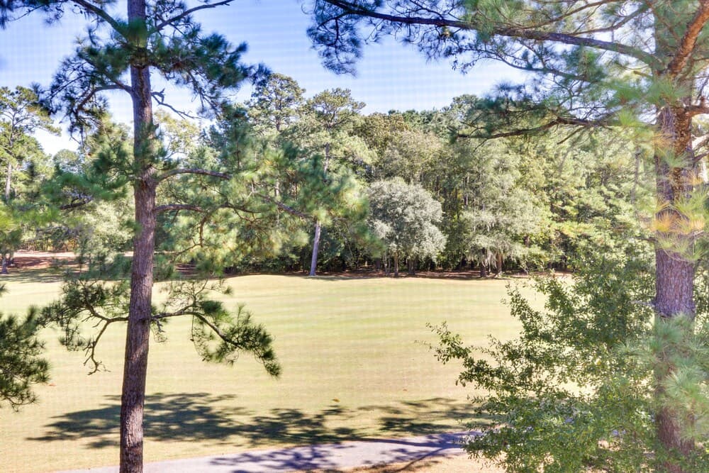 Community Perks & Golf Course Views: Longs Condo