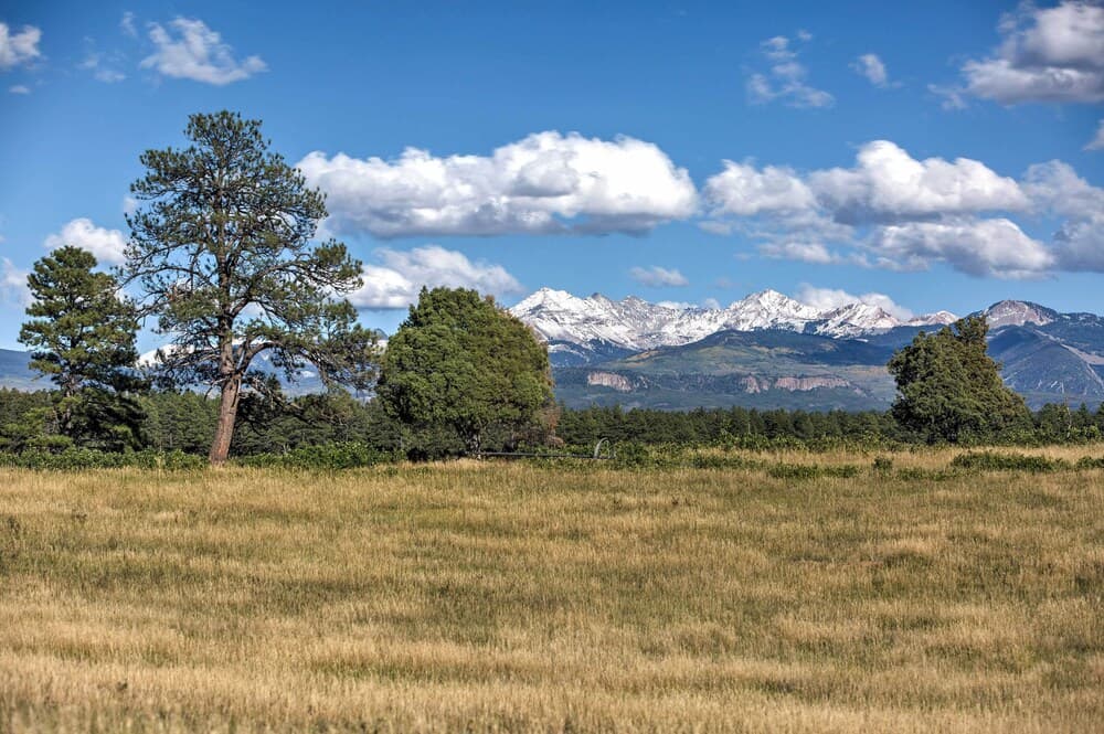 Mancos Cabin Rental on 80 Acres w/ Mountain View!