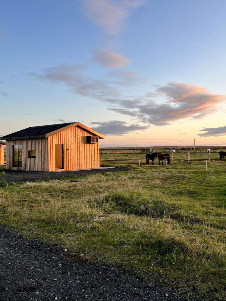 Sleeping with the Horses