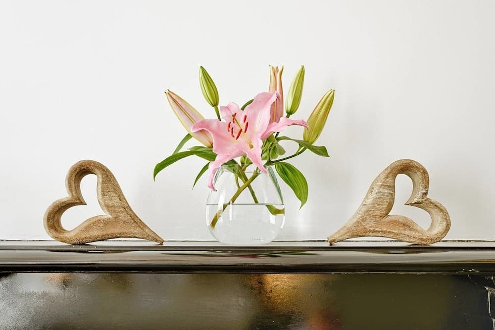 JOIVY Luxury George Street Apartments: Edinburgh Suite