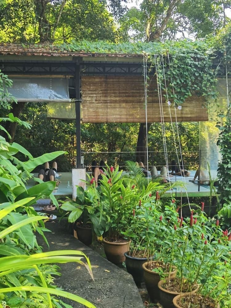 Ambong Rainforest Retreat