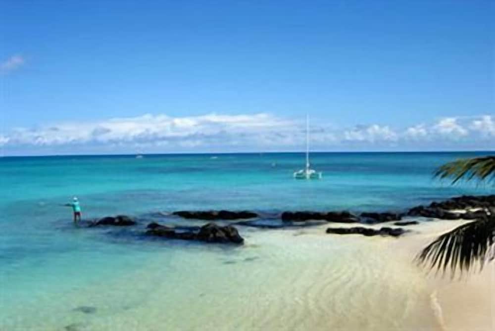 Ocean Beauty