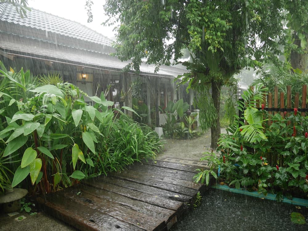 Bangtao Beach Chalet