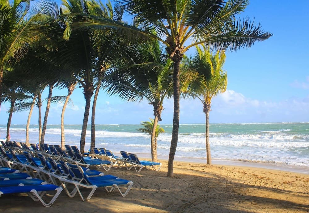 Viva Tangerine by Wyndham, A Trademark All Inclusive