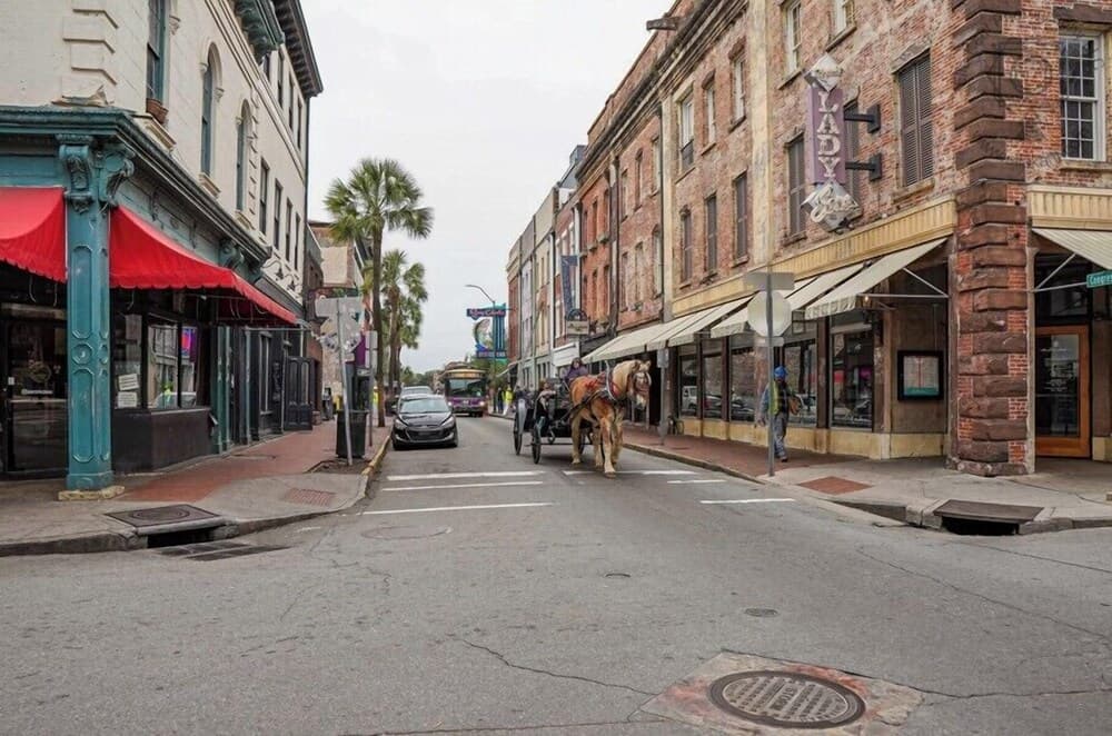 Bee on Broughton - Historic Downtown