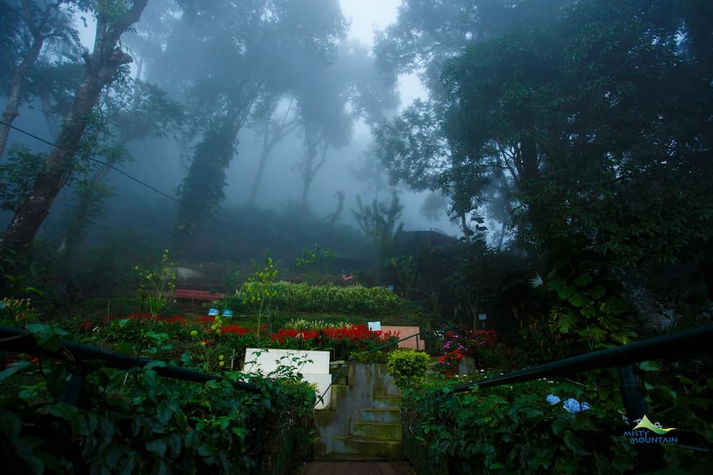 Misty Mountain Resort