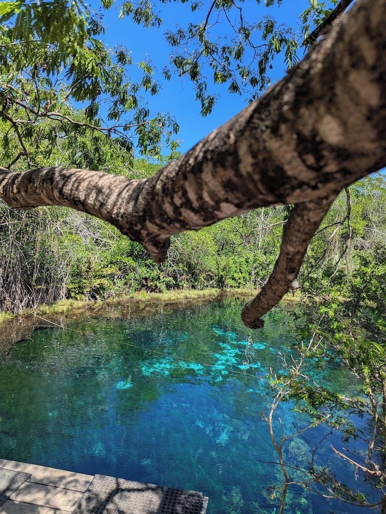 Magic Xcacel Tulum