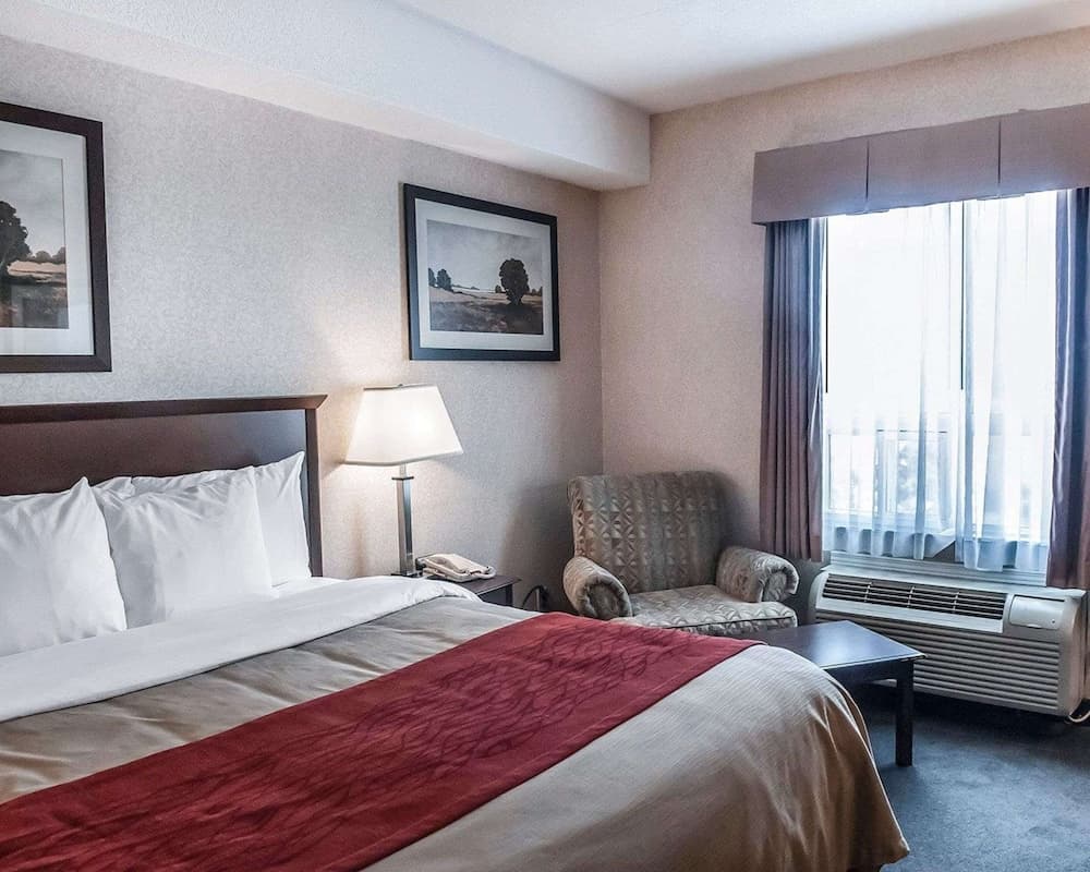 Comfort Inn Mississauga