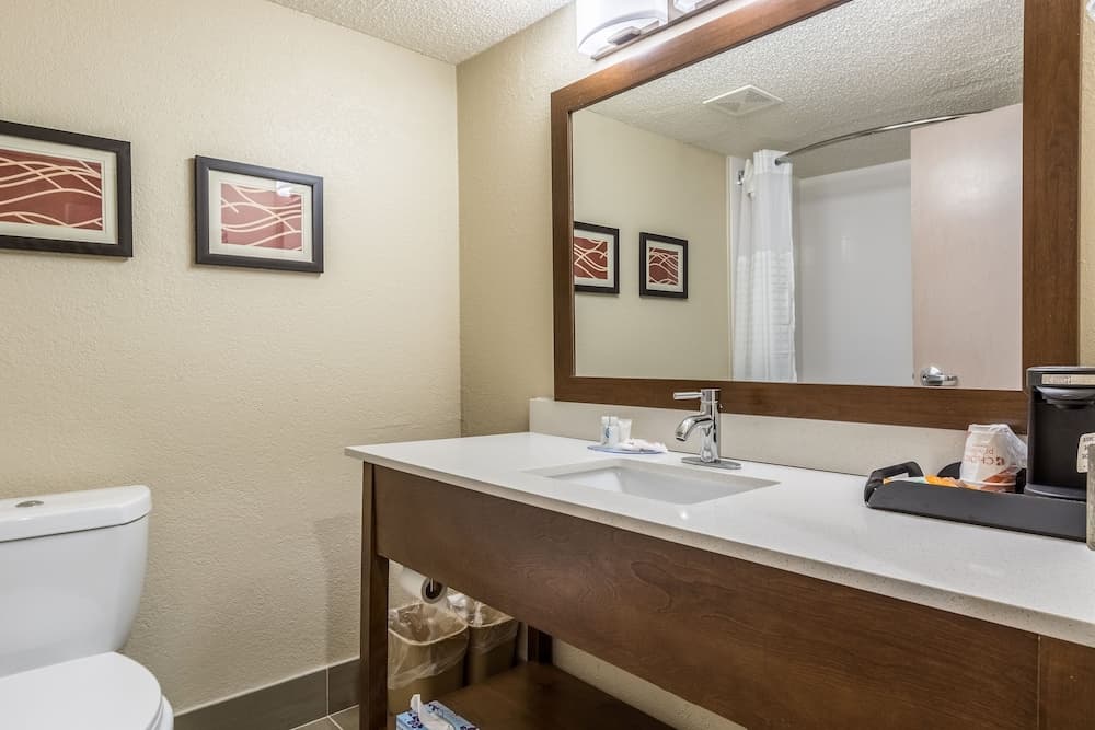 Comfort Inn N Myrtle Beach Barefoot Landing
