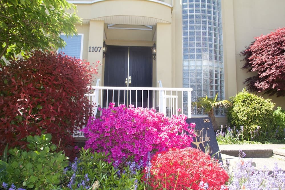 Star of the Sea Guest House