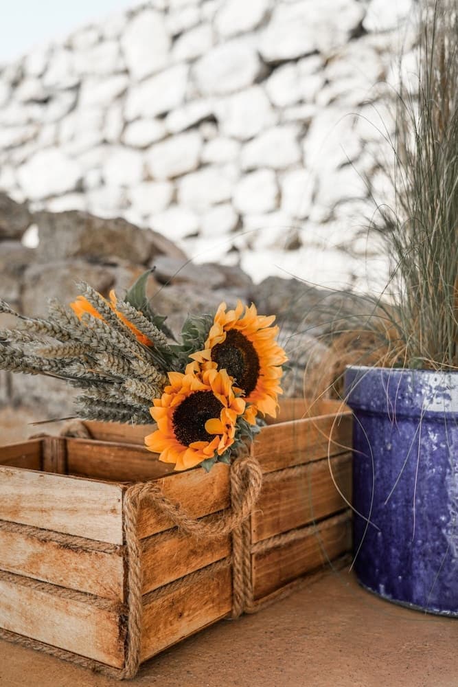 Mykonos High Sunset Villa