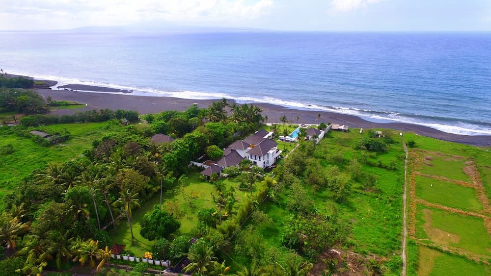 Bougain Villa