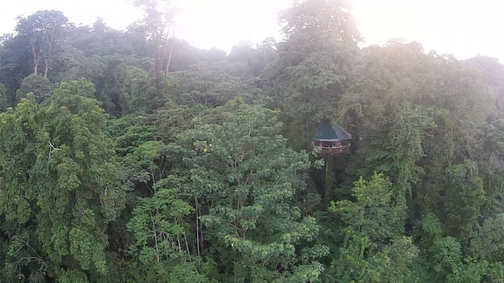 Nature Observatorio Amazing Treehouse