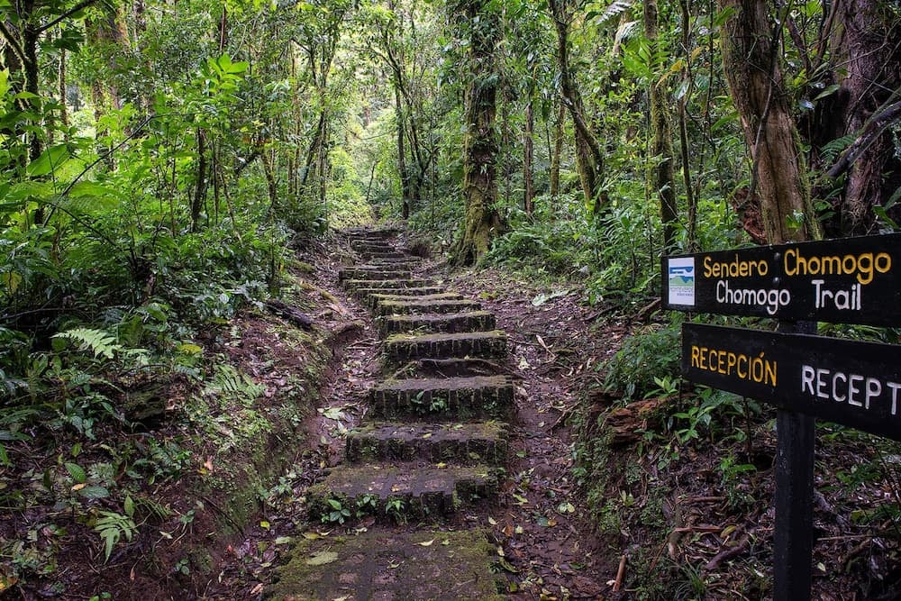Monteverde Lodge