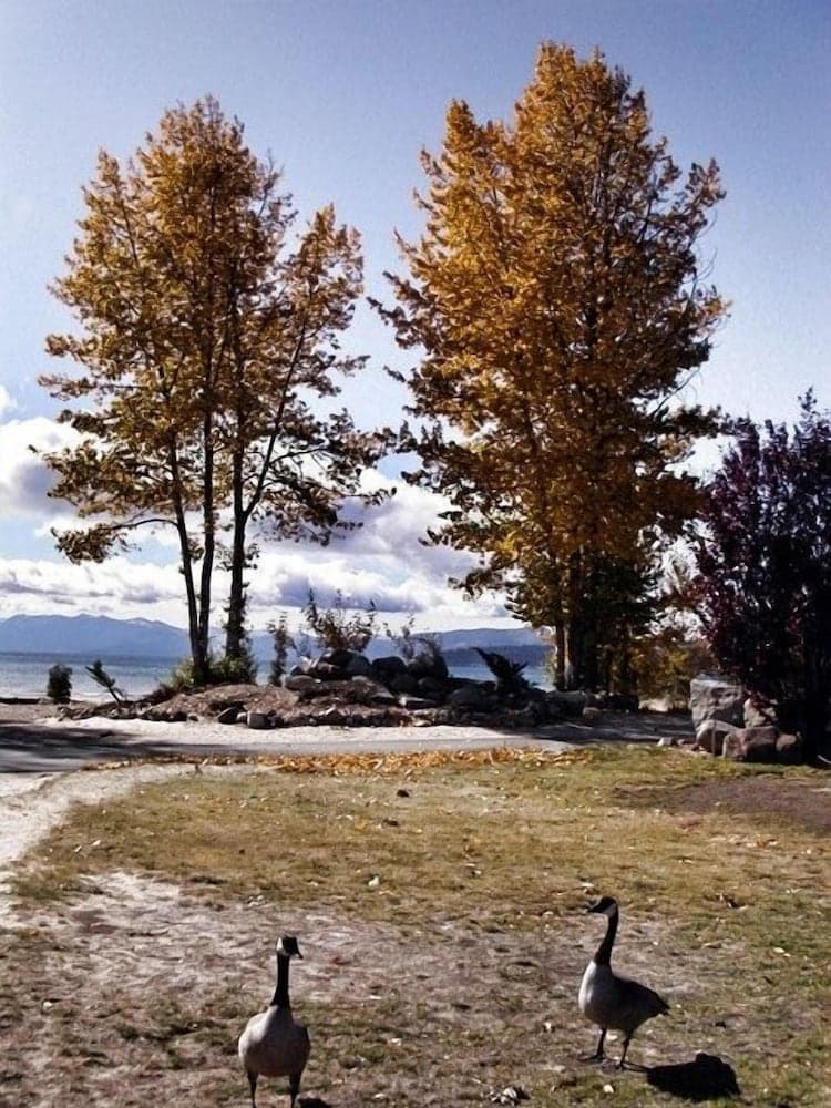 Tahoe Sands Resort