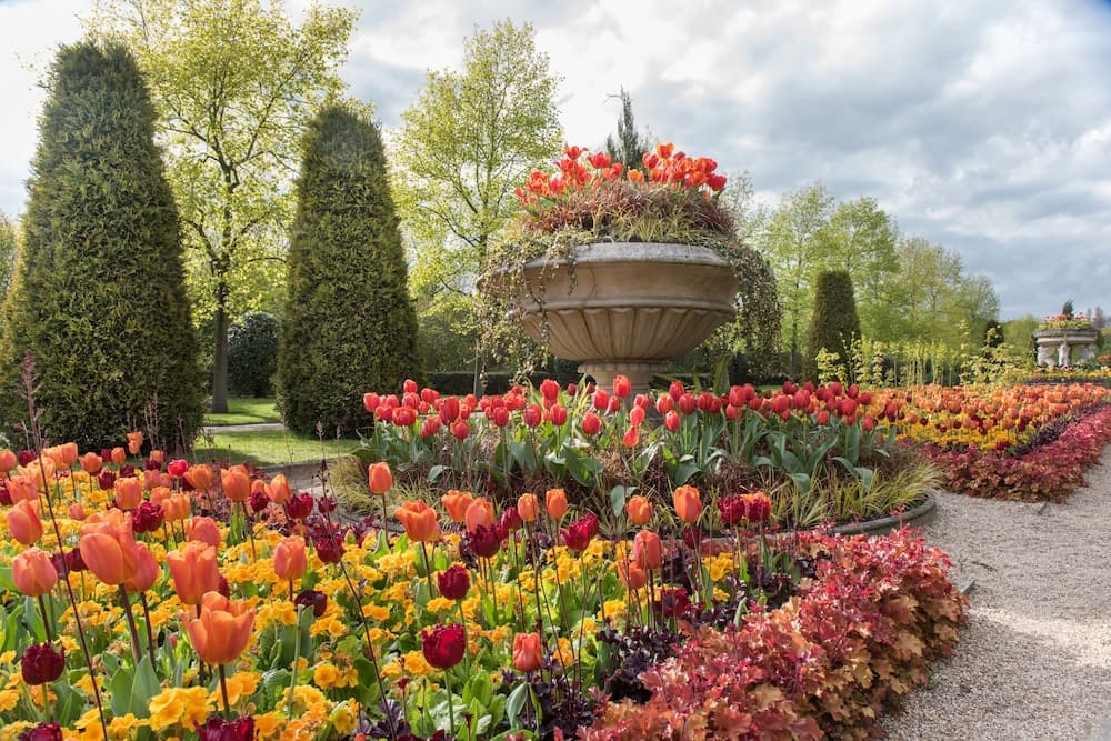 garden