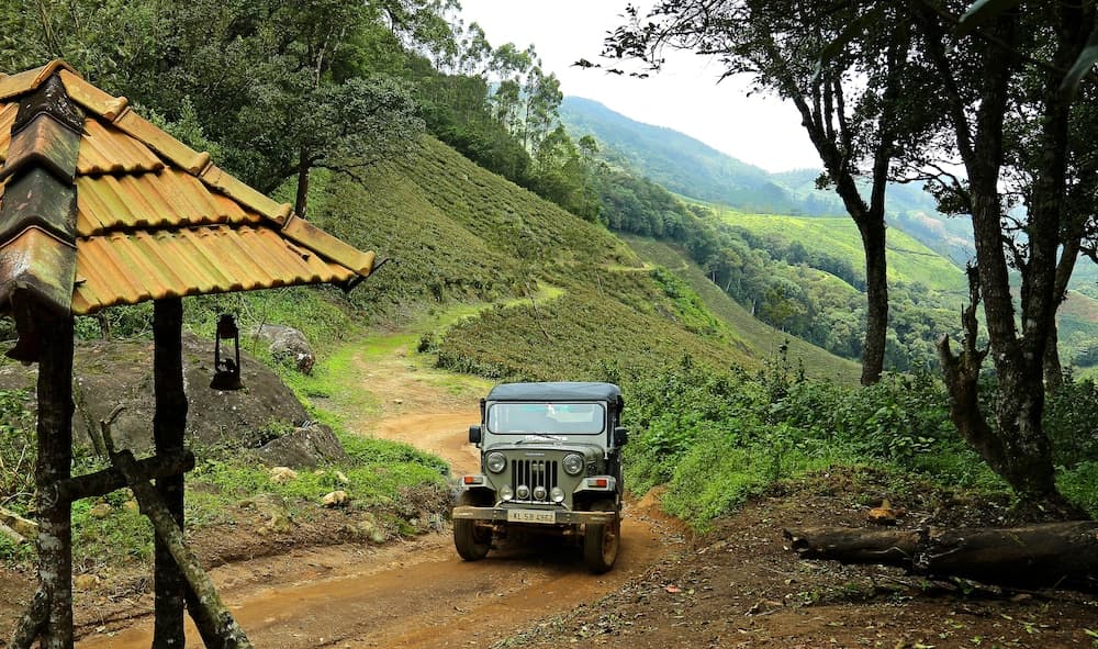 Nature Zone Jungle Resort
