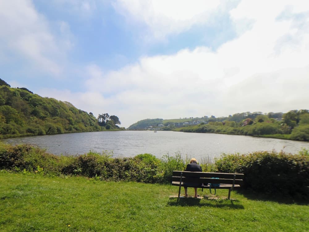 Lake View