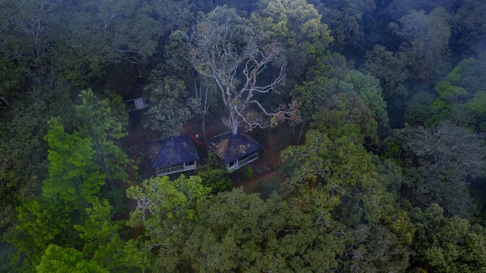 Nature Zone Jungle Resort