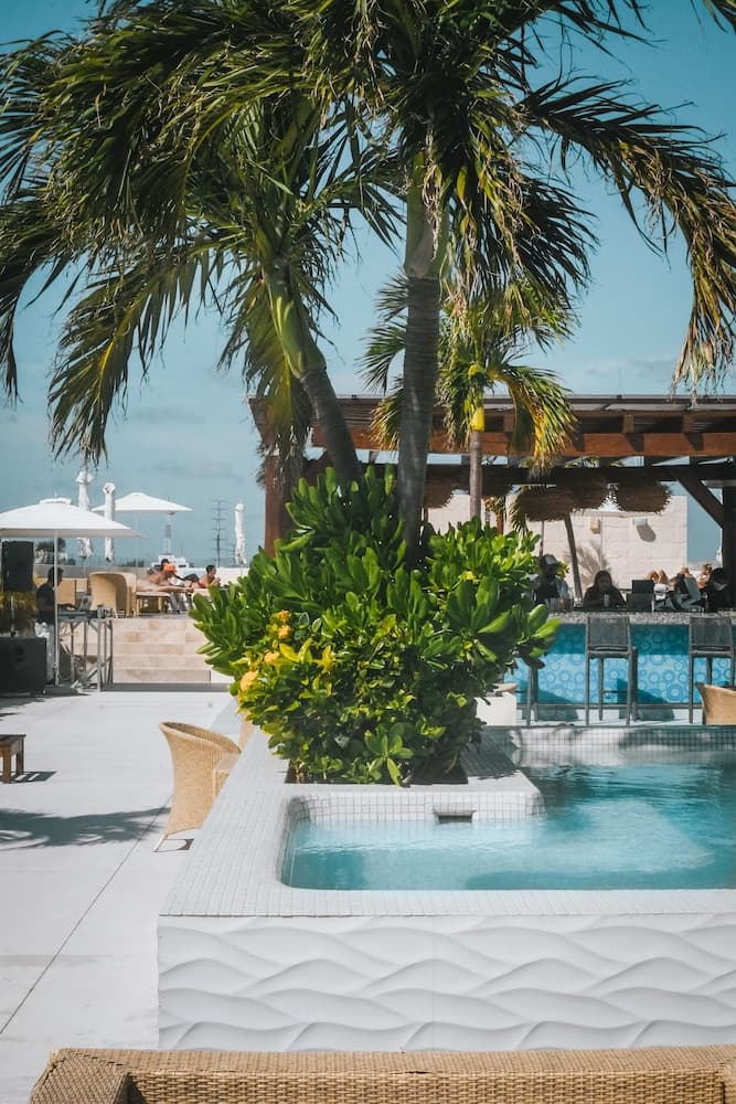 The Palm at Playa
