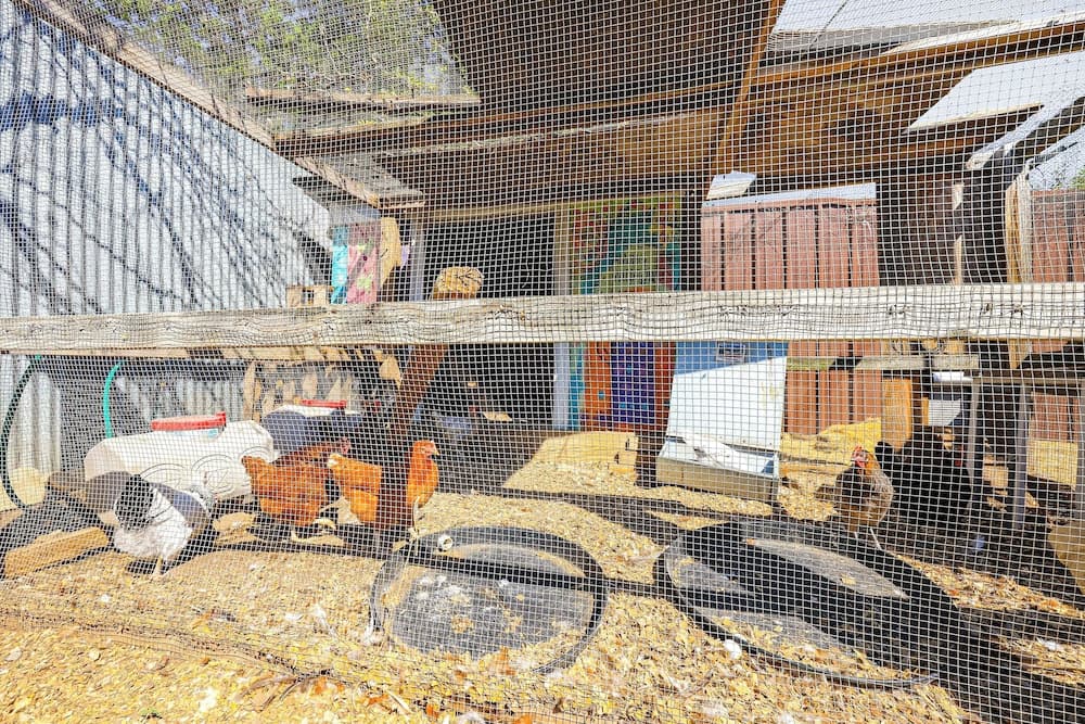 Rescue Ranch Retreat w/ Goats, Horses & Chickens!