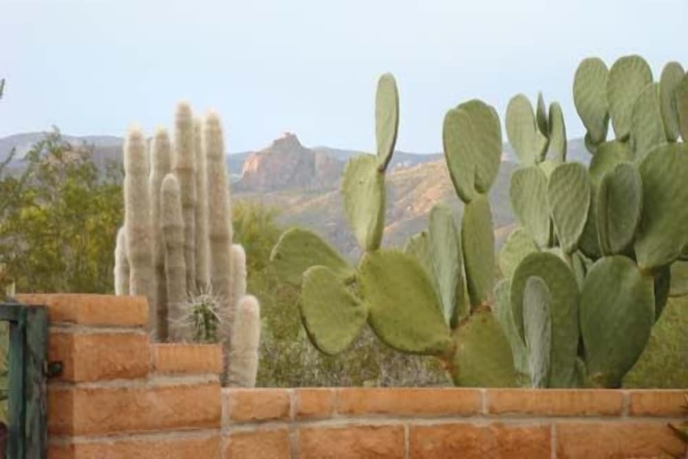 Cactus Cove