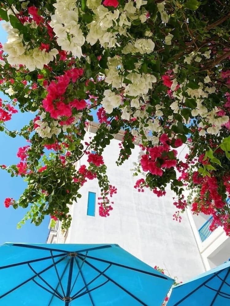 Blue Anchor Lodge & Cafe-Binh Ba Island