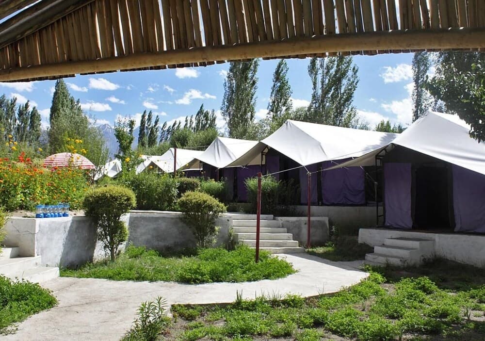 Tiger Camp