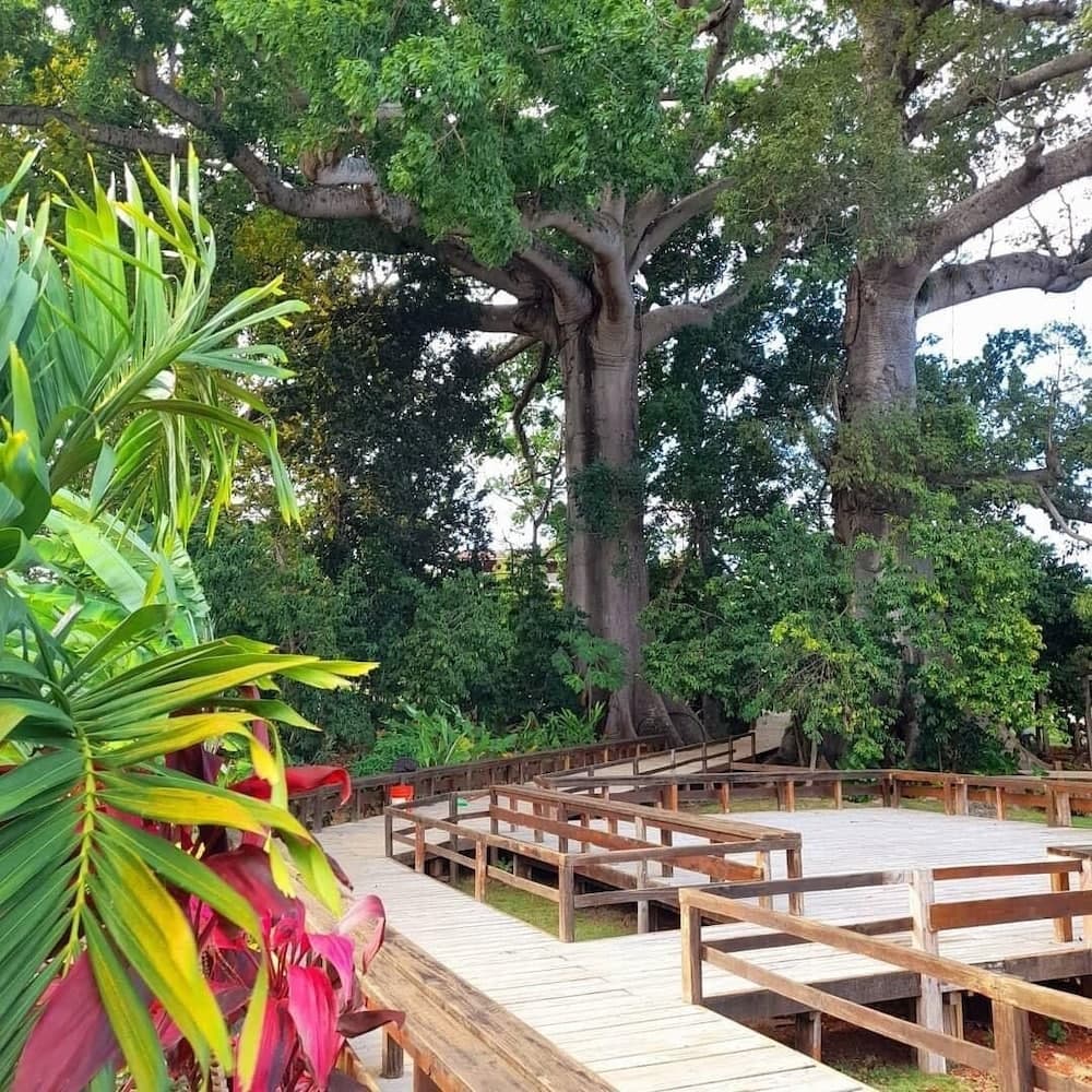 Coral Seas Beach Resort