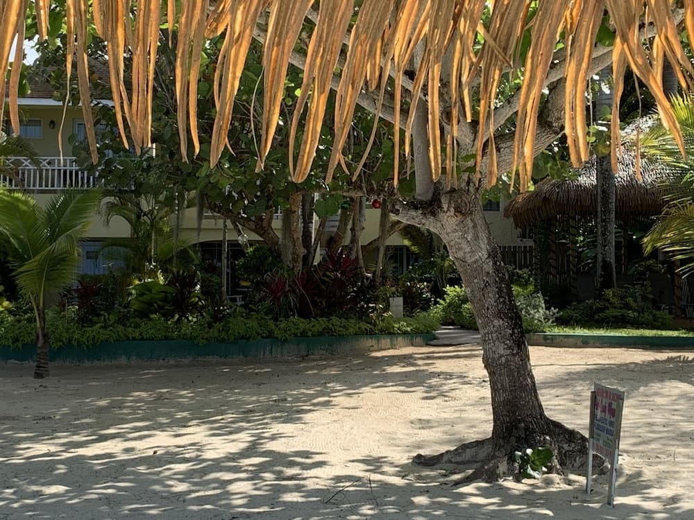 Family Comfort In Jamaica - Enjoy 7 Miles Of White Sand Beach! Villa by RedAwning