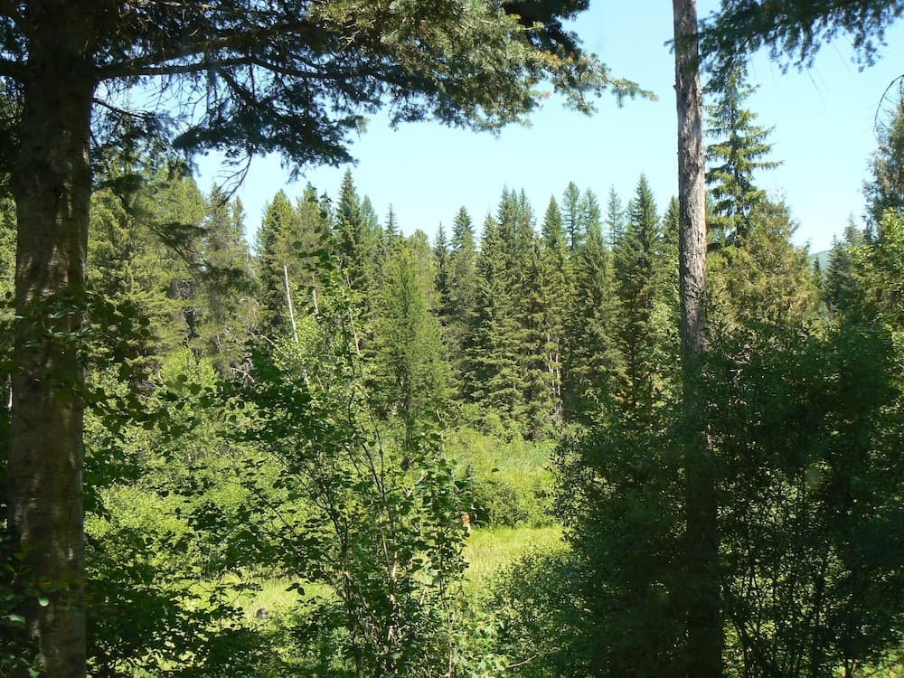 Smoky Bear Ranch Bed & Breakfast & Cabins