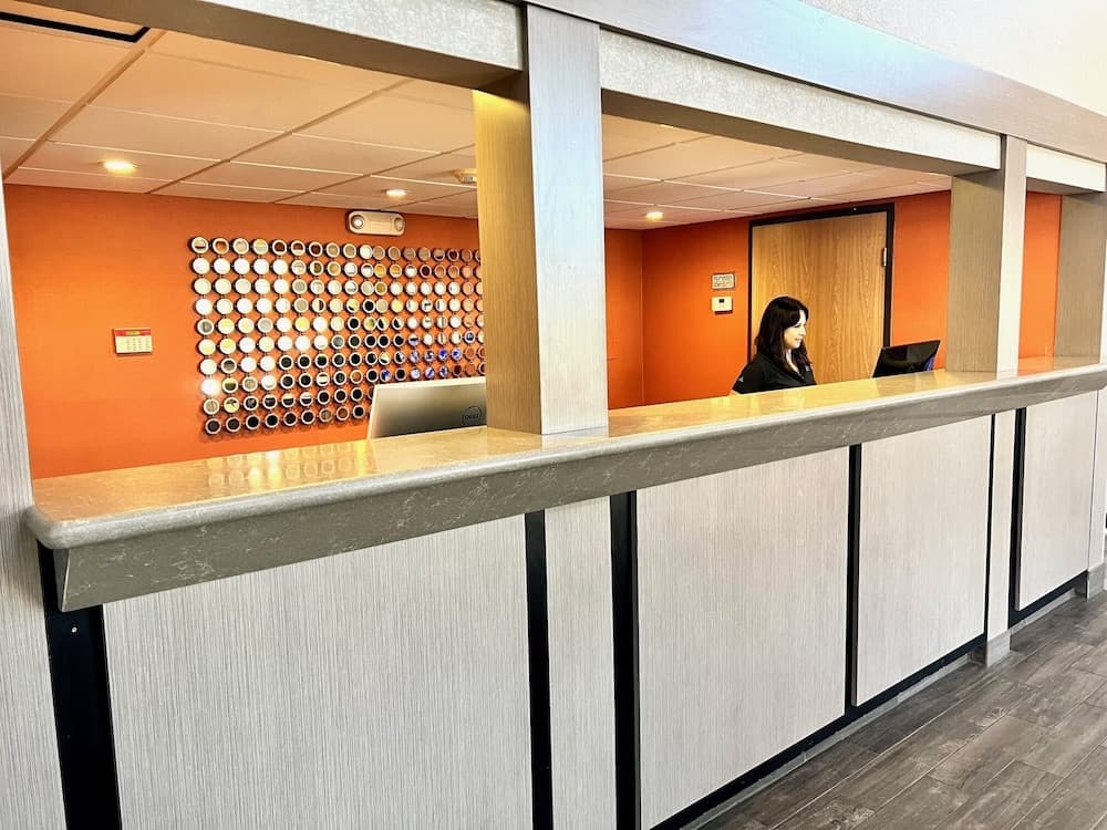 recepcion & lobby