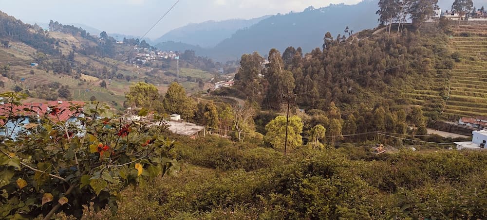 Kodai Hillscape