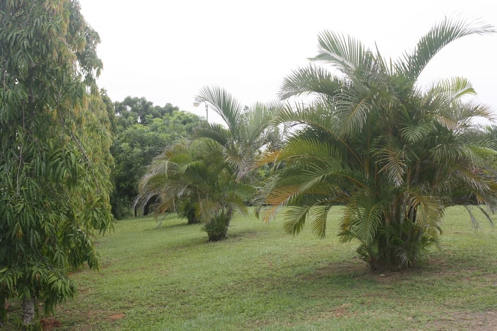 Hacienda Doña Carmen