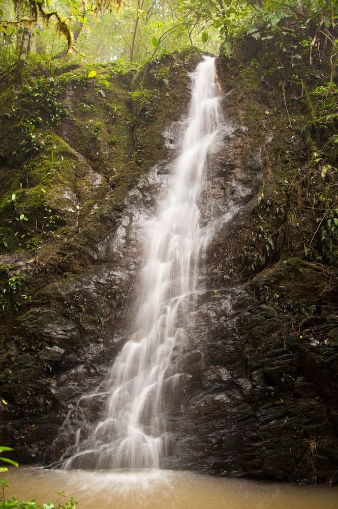 Finca Esperanza Verde