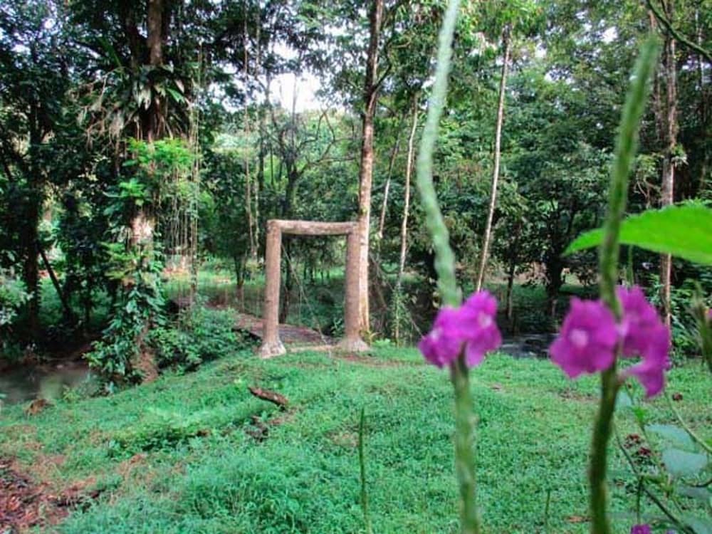 Vanilla Jungle Lodge - Bed & Breakfast