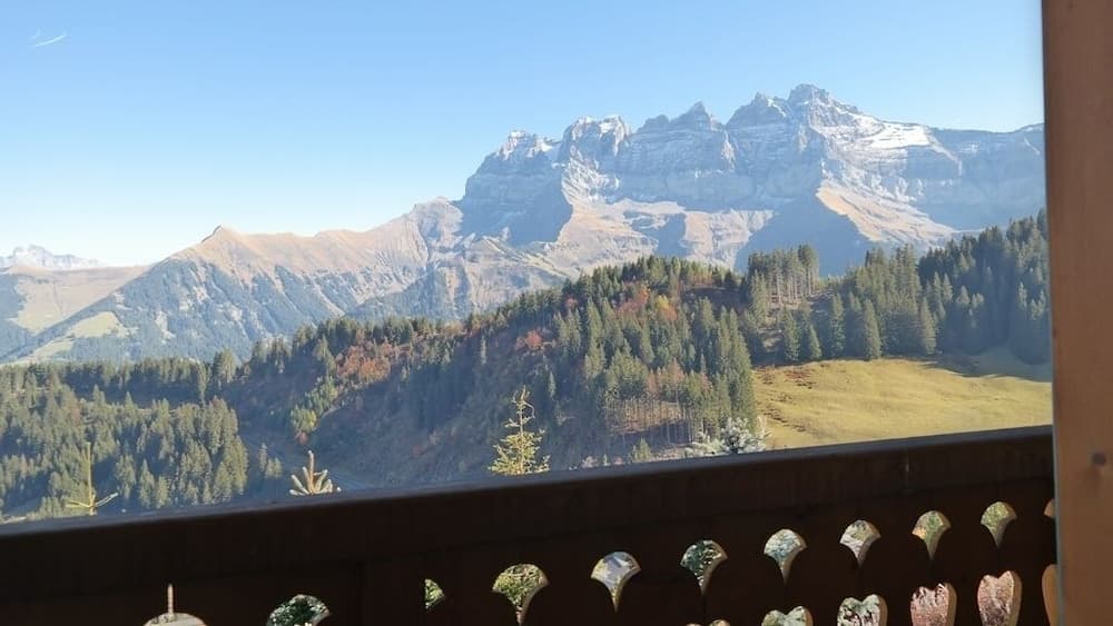 Chalet Ella