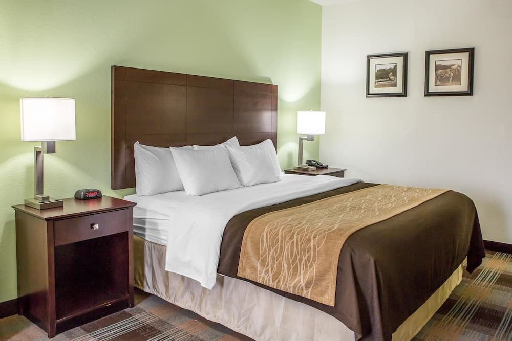 Comfort Inn Lexington South